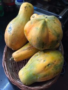 pasuthai-panchagavya-organic-papaya